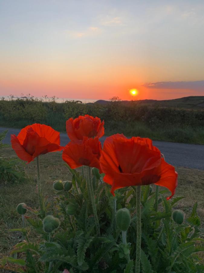 Craig-Y-Mor Suites With Sea Views Whitesands St Davids 외부 사진